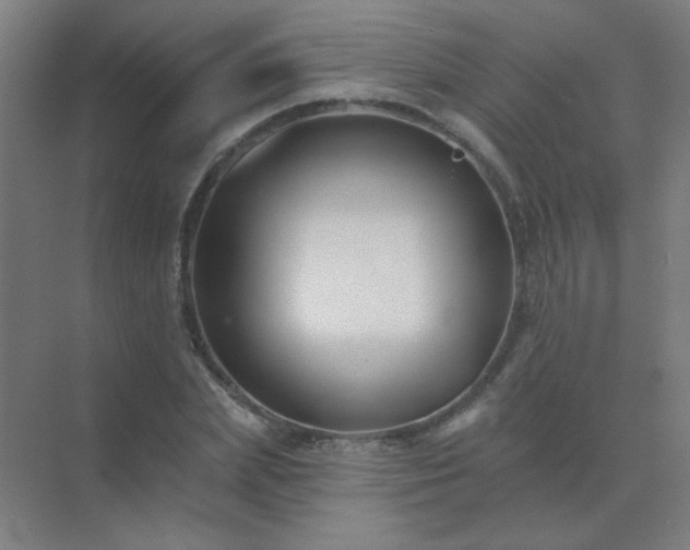 X0000072920831200607282109