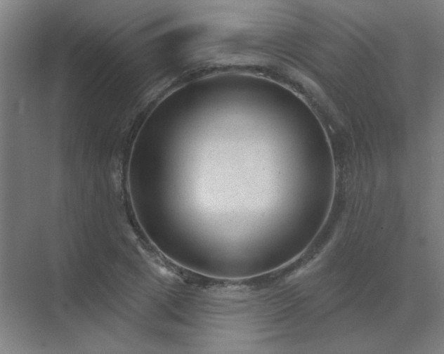 X0000072920833200607282109