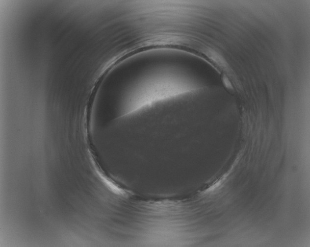 X0000072920842200607282109
