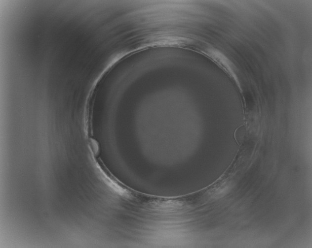 X0000072920851200607282109