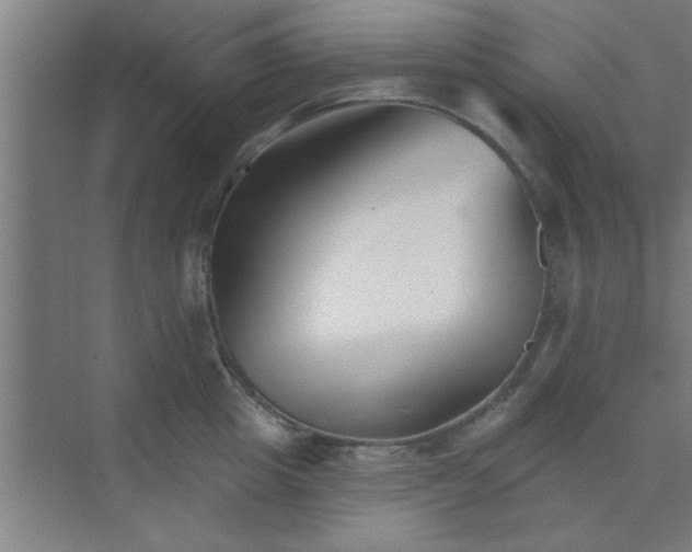 X0000072920857200607282109