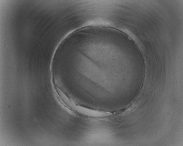 X0000072920864200607282110