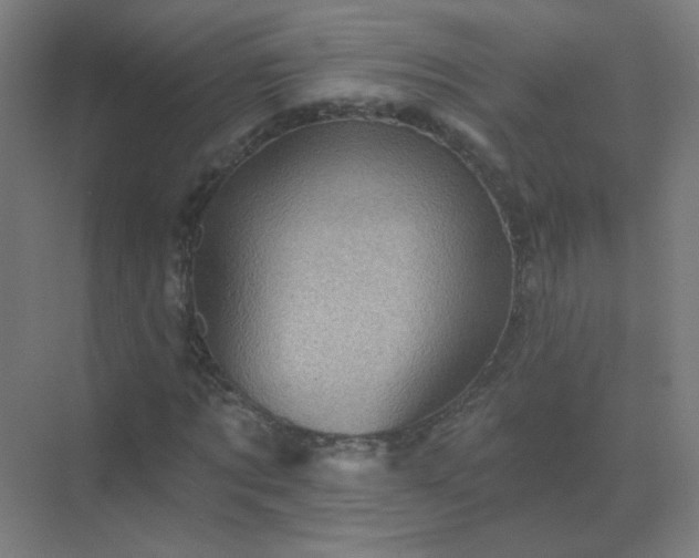 X0000072920869200607282109