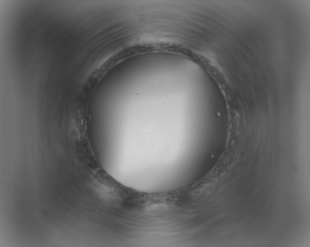 X0000072920871200607282109