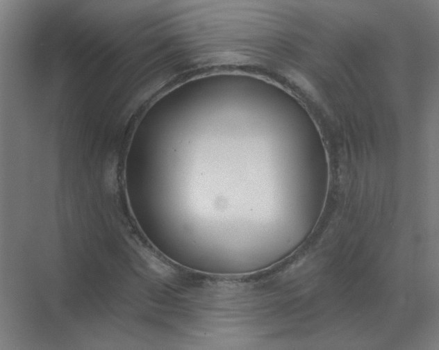 X0000072920873200607282109