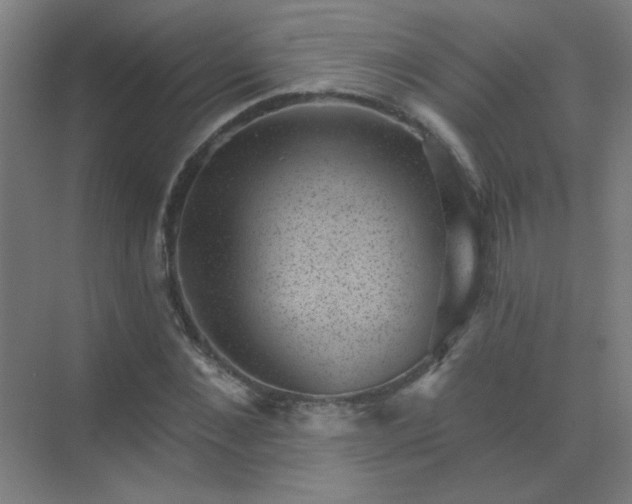 X0000072920876200607282109