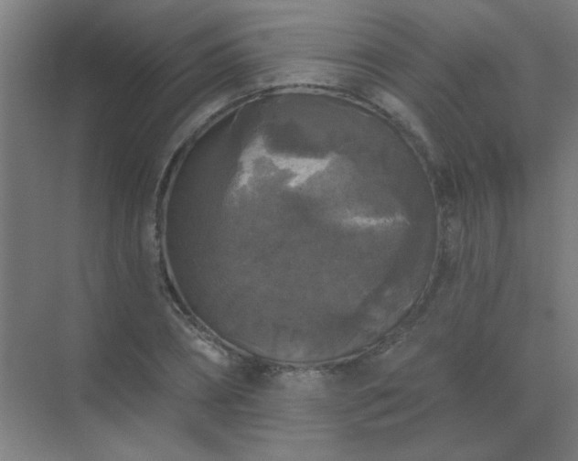 X0000072920882200607282108