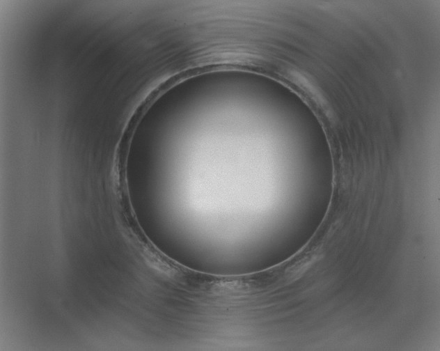 X0000072920883200607282108