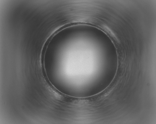 X0000072920884200607282108