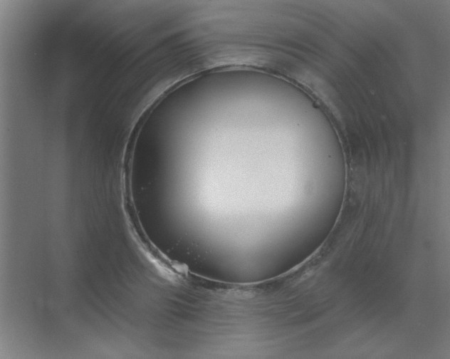 X0000072920890200607282108