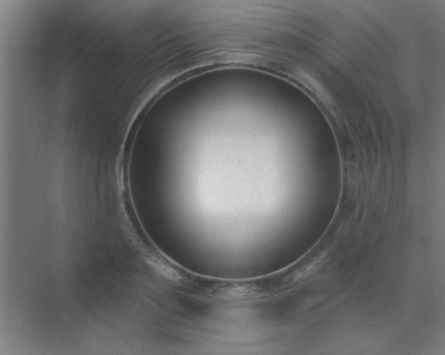 X0000072920891200607282108