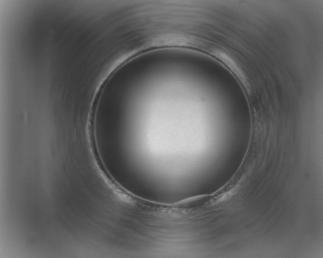 X0000072920901200607282108