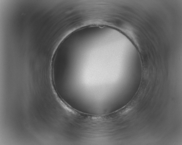 X0000072920903200607282108