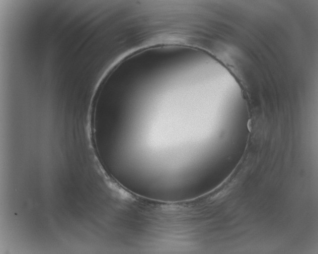X0000072920904200607282108