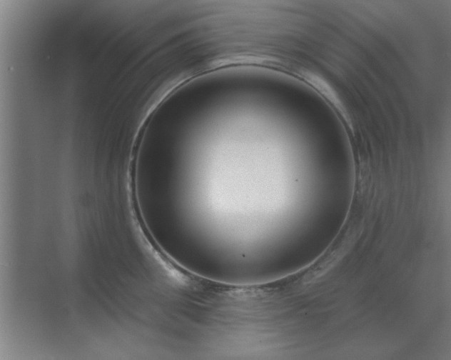 X0000072920906200607282108