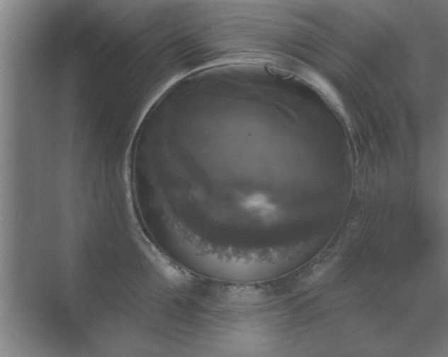 X0000072920907200607282108