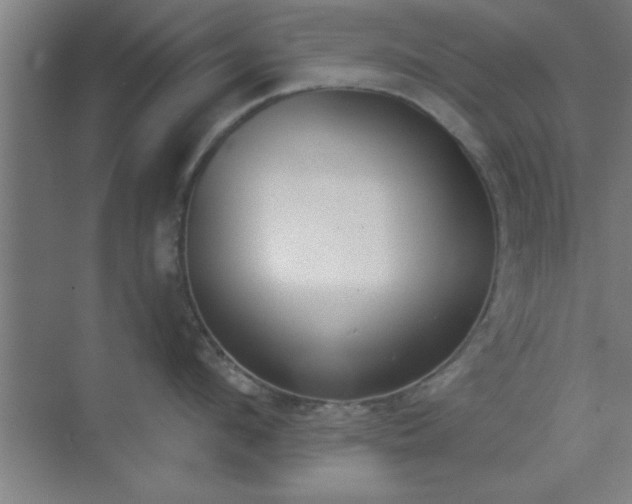 X0000072920912200607282108