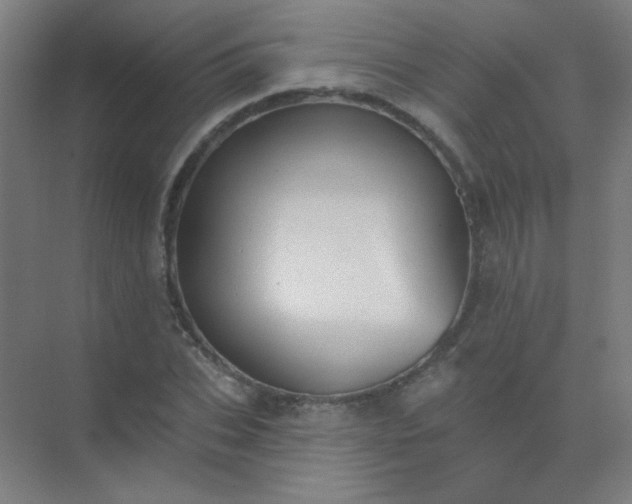 X0000072920927200607282107