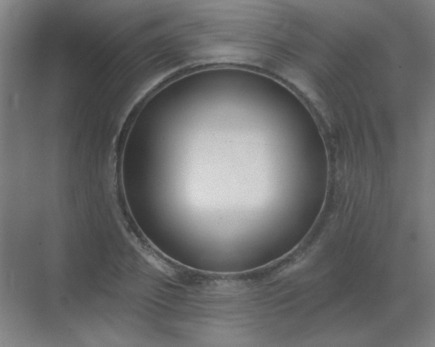 X0000072920933200607282108