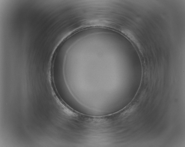 X0000072920941200607282108