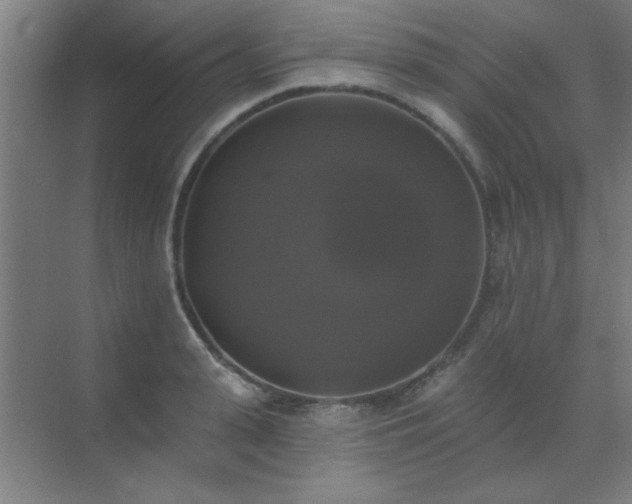 X0000072920943200607282108