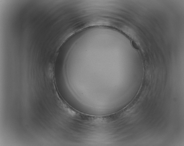 X0000072920945200607282108