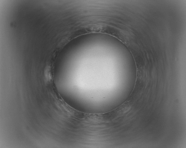 X0000072920962200607282107
