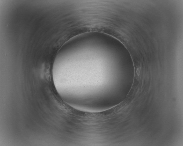 X0000072920963200607282107