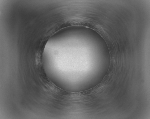 X0000072920964200607282107