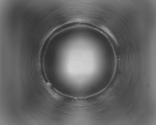 X0000072920972200607282107