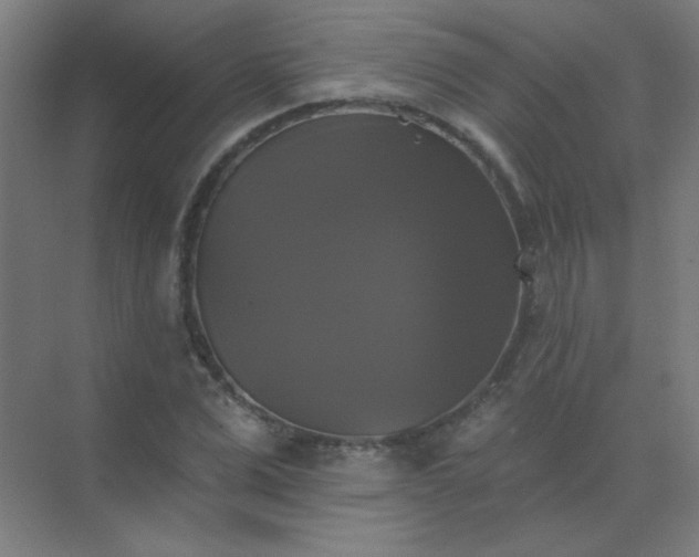 X0000072920975200607282107