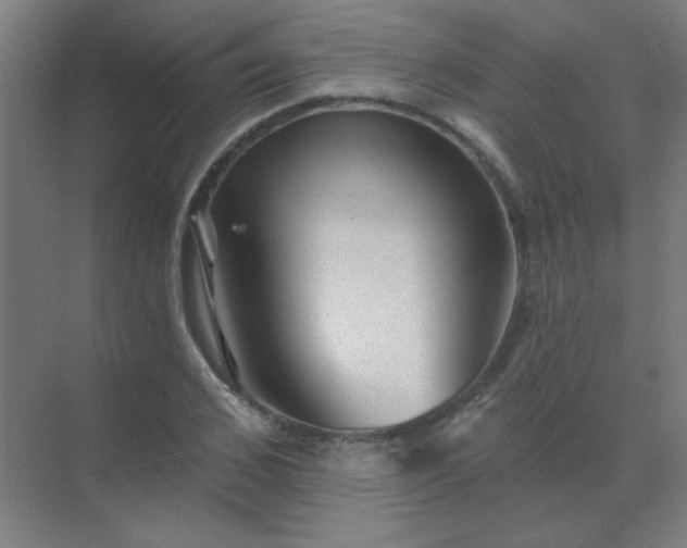 X0000072920976200607282107