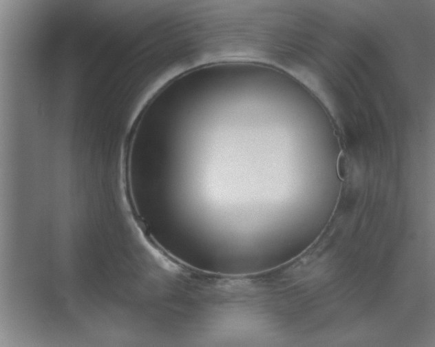 X0000072921006200607282106