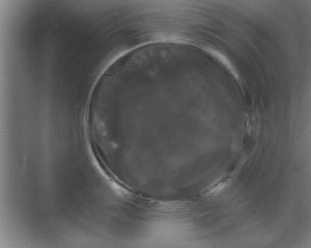 X0000072921007200607282106