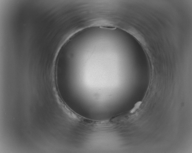 X0000072921008200607282106