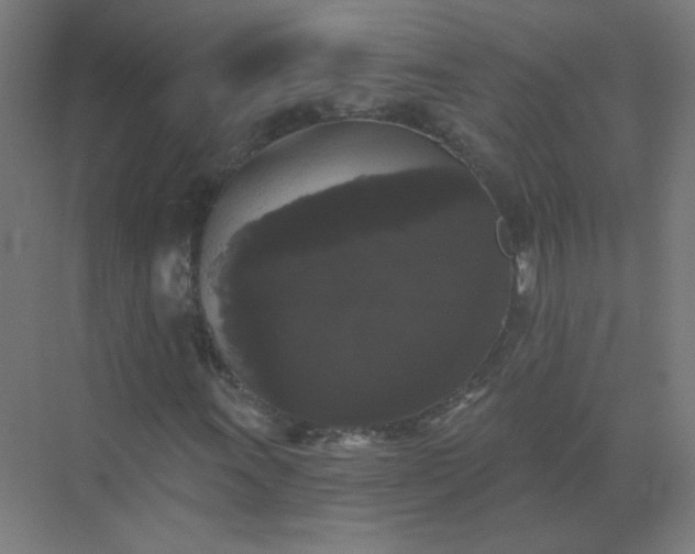 X0000072921011200607282106