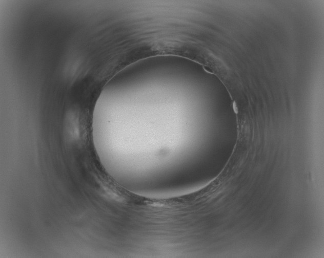 X0000072921012200607282106