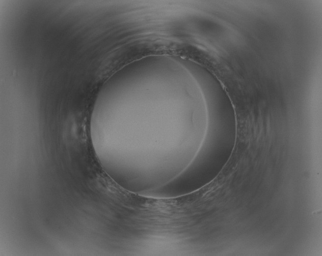 X0000072921013200607282106