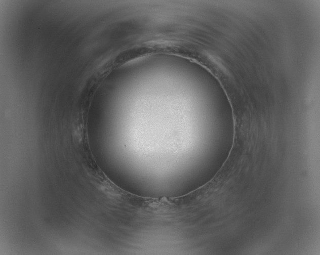 X0000072921015200607282106