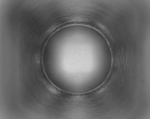 X0000072921017200607282106