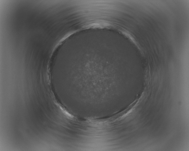 X0000072921018200607282106
