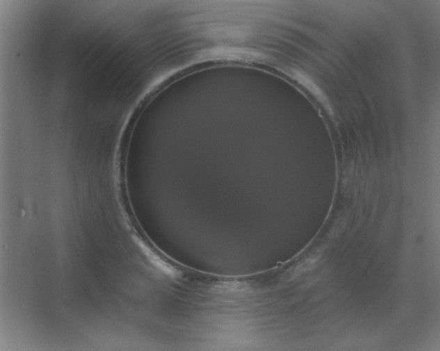 X0000072921037200607282106