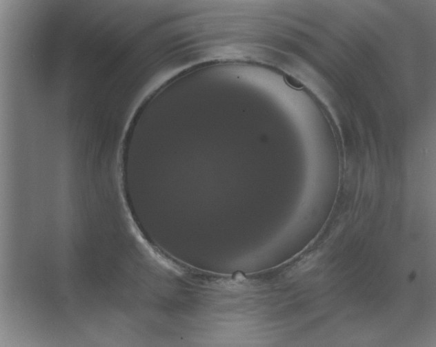 X0000072921045200607282106