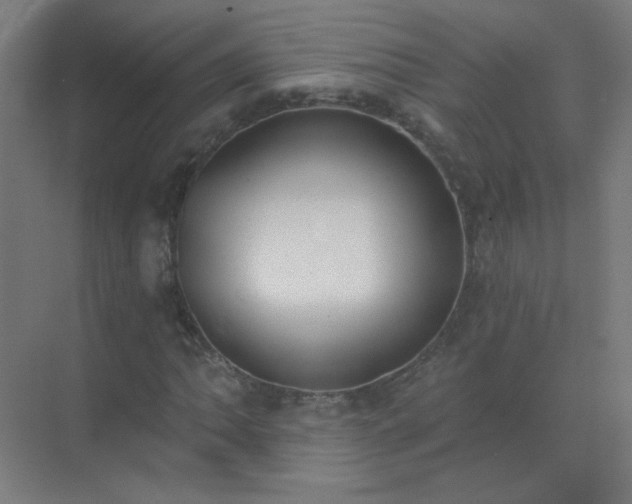 X0000072921062200607282105