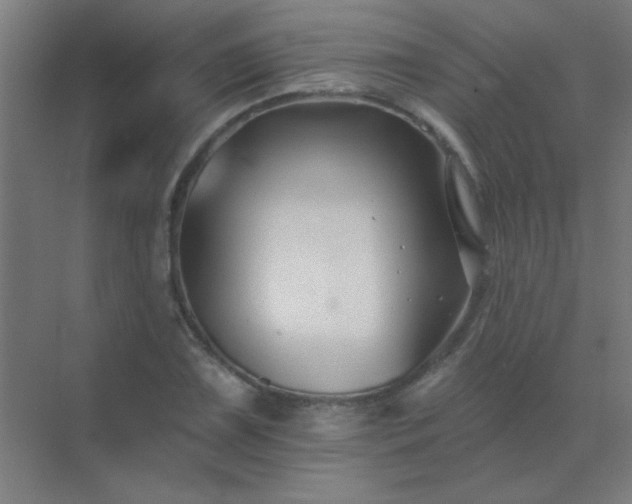 X0000072921075200607282105