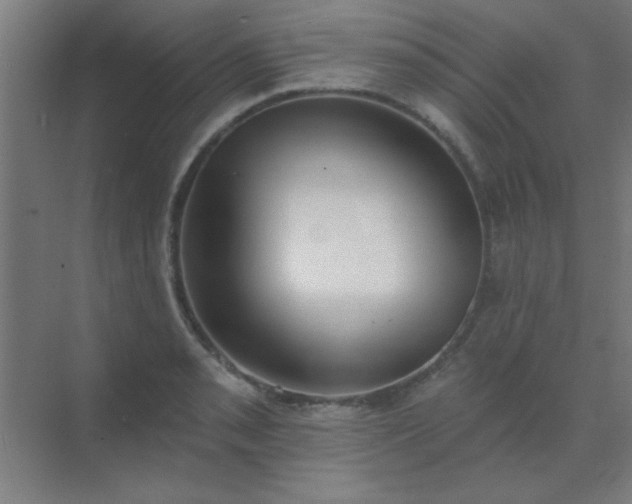 X0000072921085200607282105