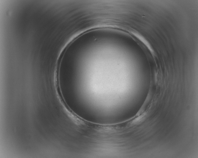 X0000072921101200607282105