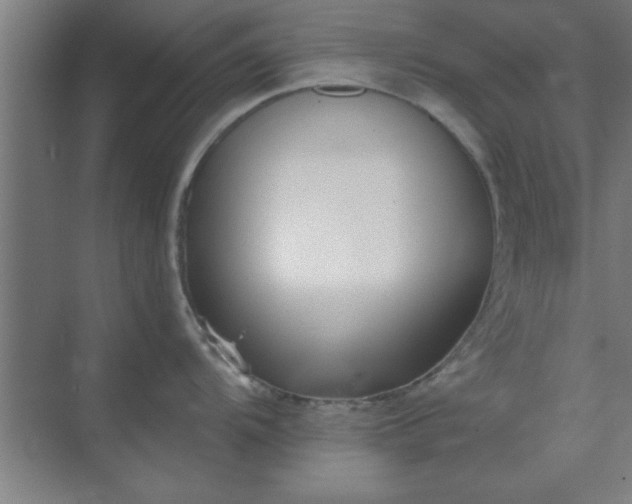 X0000072921104200607282105