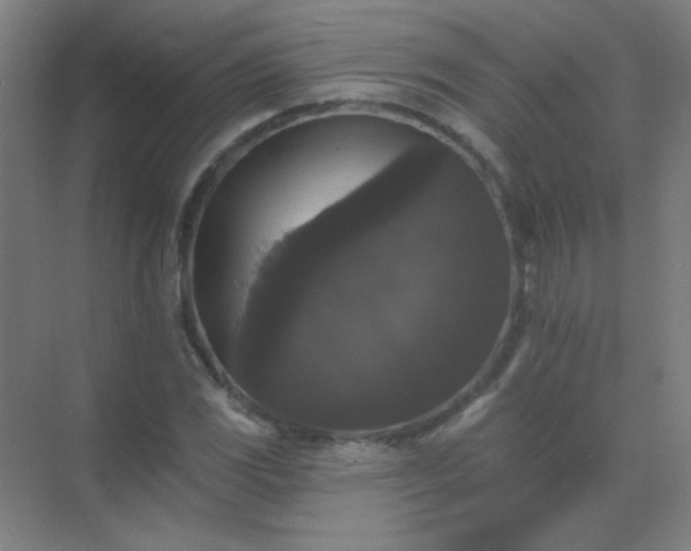 X0000072921117200607282104