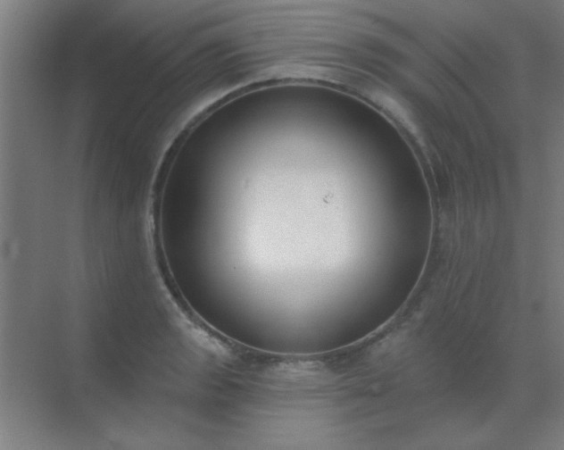 X0000072921133200607282104
